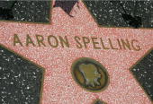 On the Hollywood Walk of Fame