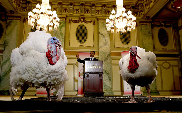 Jihad Douglas, chairman of the National Turkey Federation introduces two turkeys at the Willard Inter Continental Hotel ahead of their 'pardon' by US President Barack Obama at the White House in Washington, DC. The names of the main turkey and his alternate will be announced at the annual White House ceremony. Both turkeys will reside at their new home, Morven Park in Leesburg, Virginia.